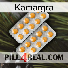 Kamargra levitra2